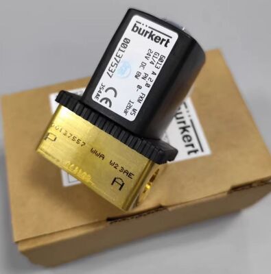 Burkert Original Genuine Product 6013series 00137537/00134233/00136018/00137533 Two-way Plunger Valve